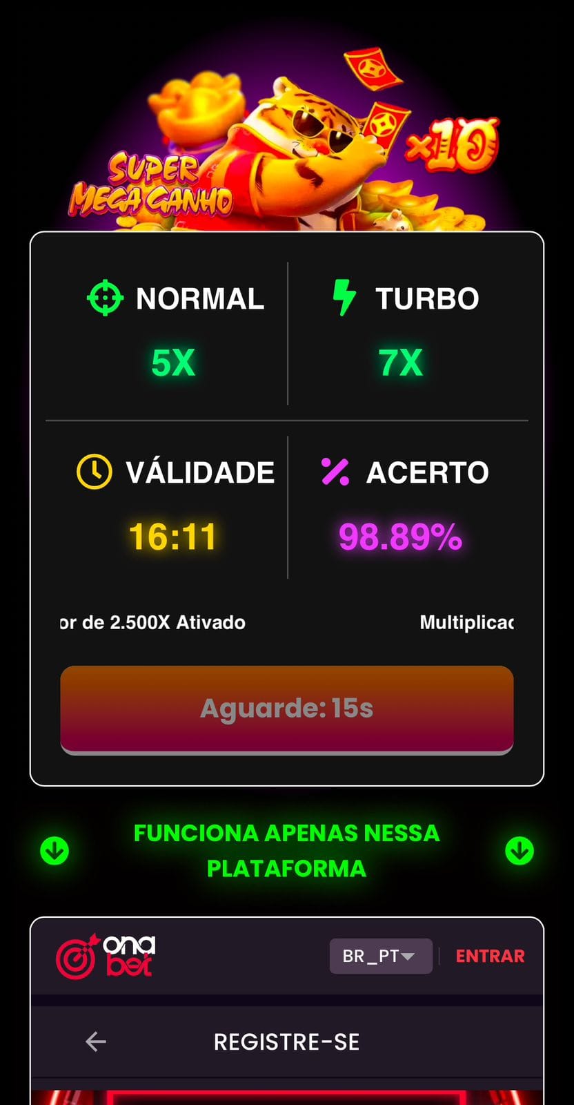 WhatsApp Image 2025-02-04 at 16.11.12