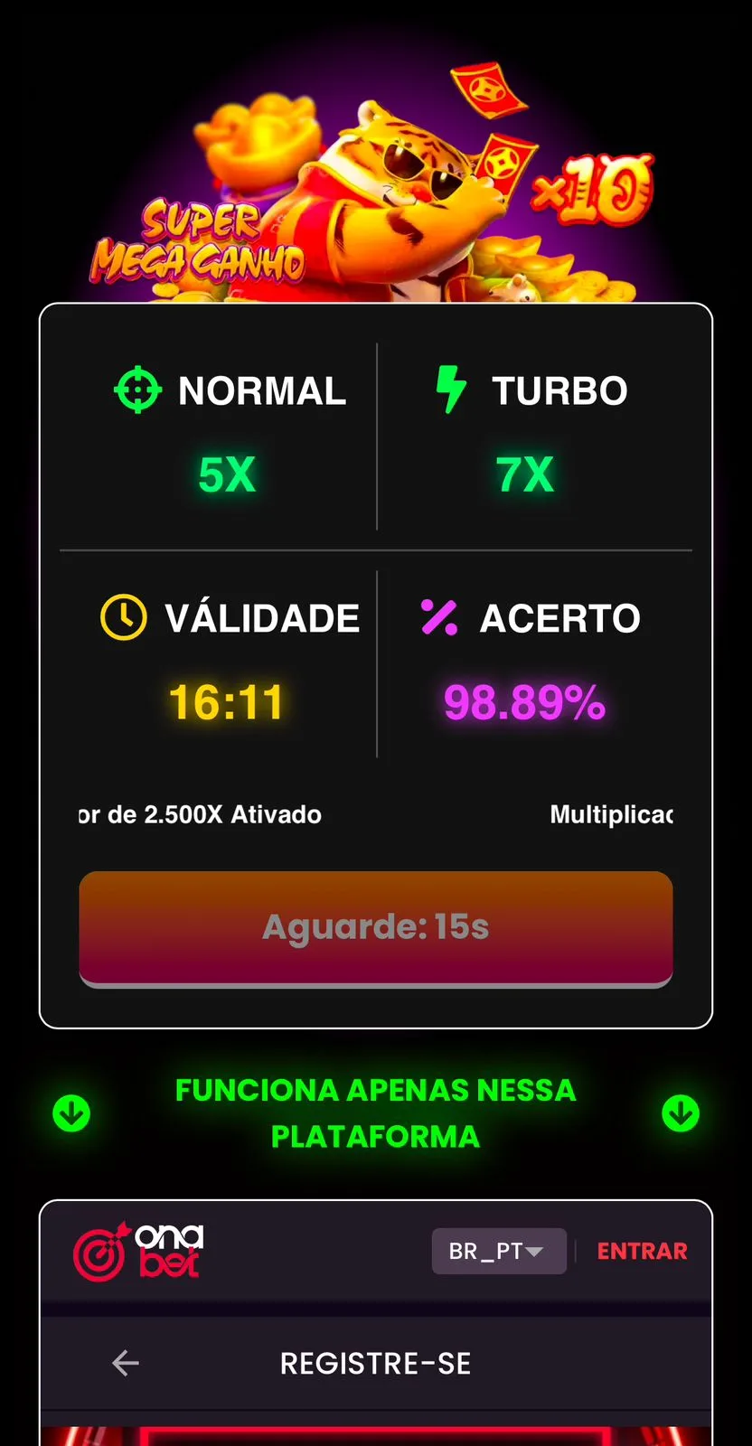 WhatsApp Image 2025-02-04 at 16.11.12